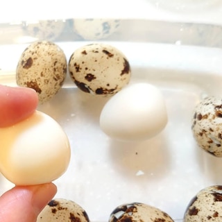 タッパーで簡単に殻むき！うずらのゆで卵
